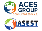 Aces Group Consultores y Asest Seguridad
